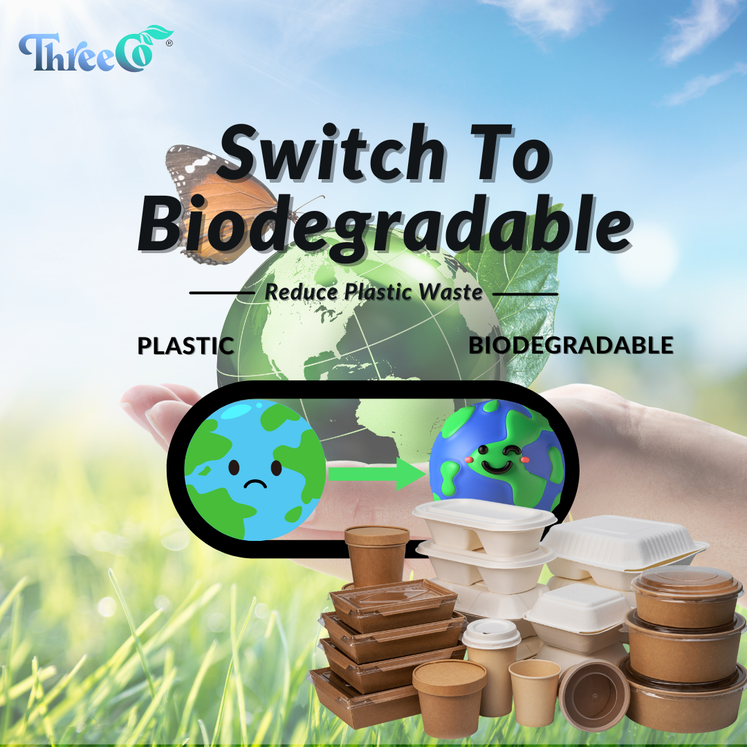 Switch to biodegradable packaging to reduce plastic waste with eco-friendly food containers and cups.