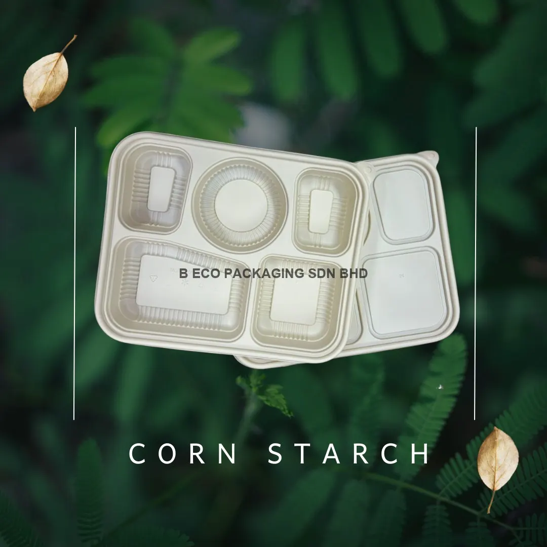 Eco-Friendly 5 Compartment Corn Starch Lunch Box Set