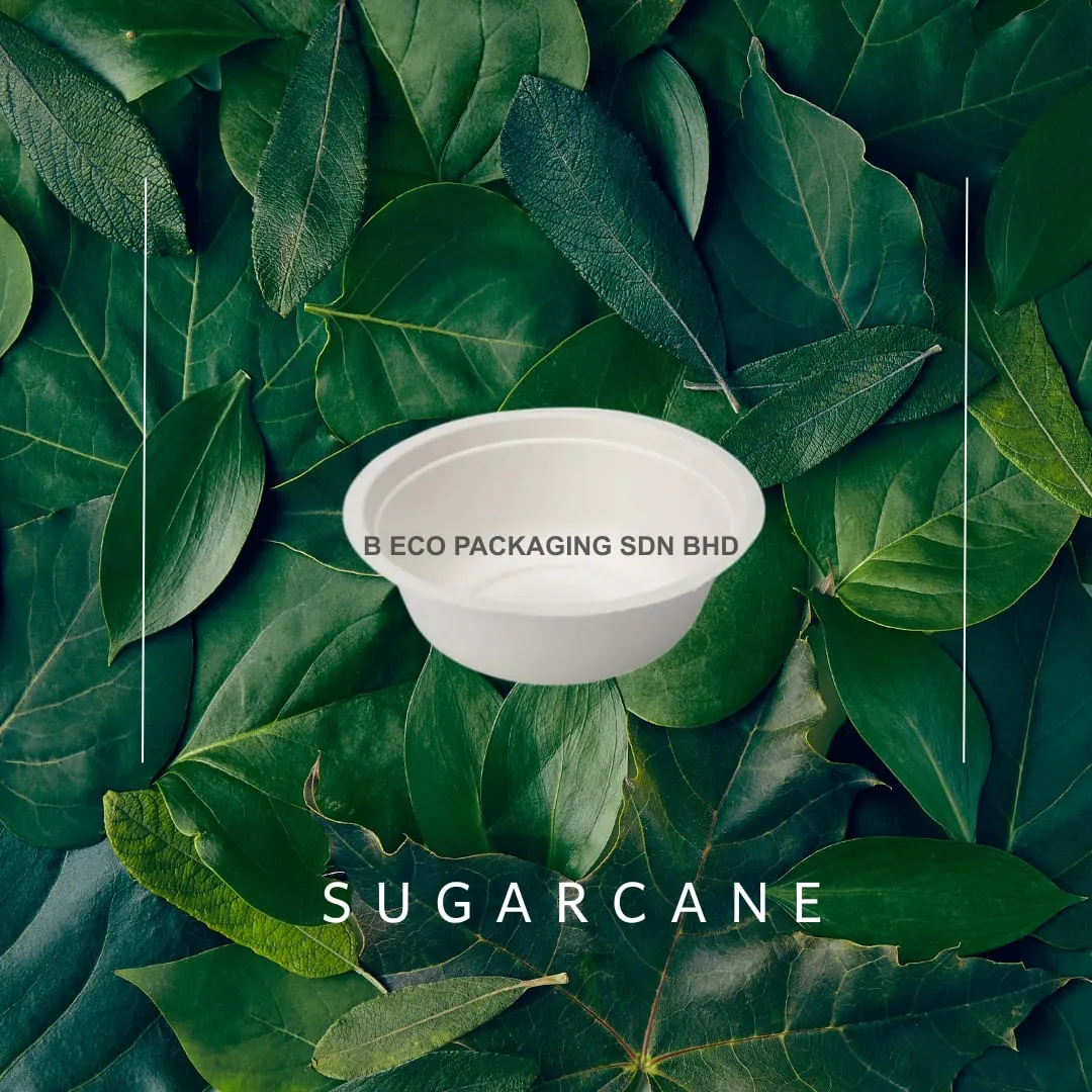 250ml Biodegradable Sugarcane Disposable Party Bowl