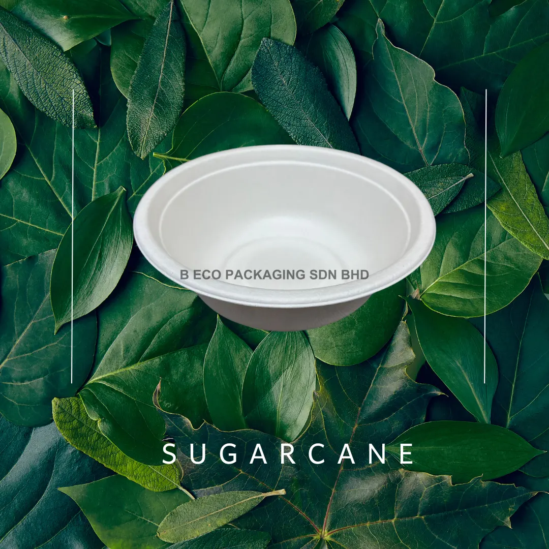 250ml Biodegradable Sugarcane Disposable Party Bowl