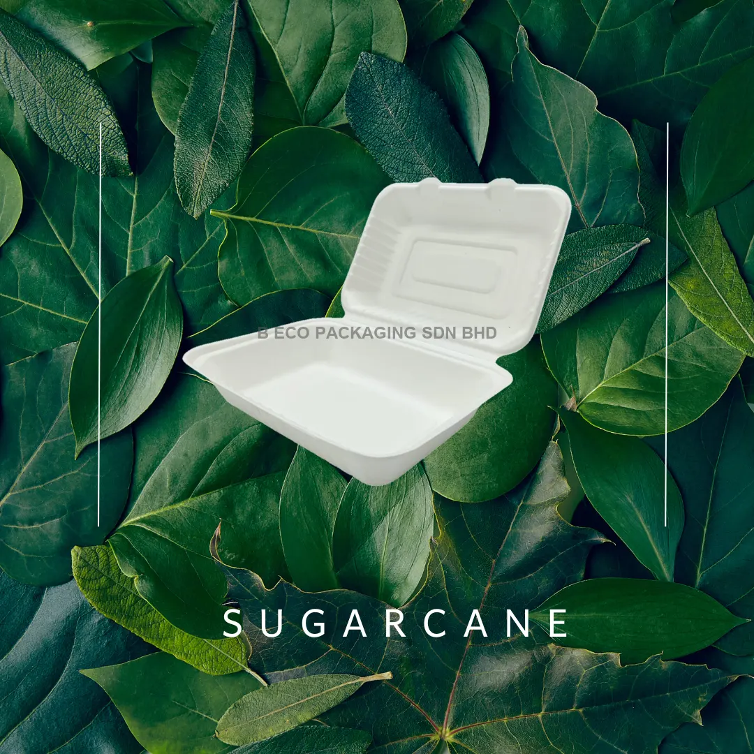 Biodegradable 9x6 Inch Sugarcane Lunch Box 960ml