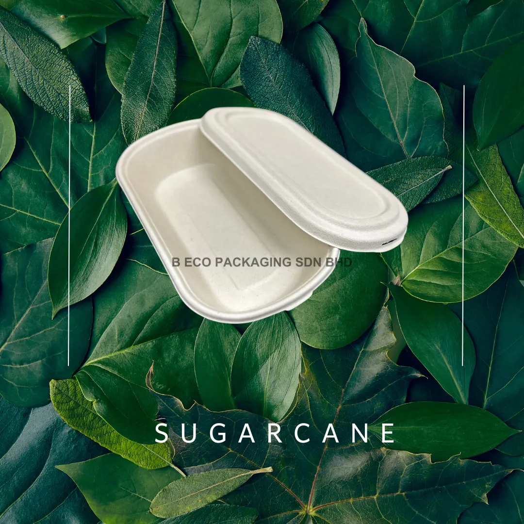 Biodegradable Sugarcane Oval Container
