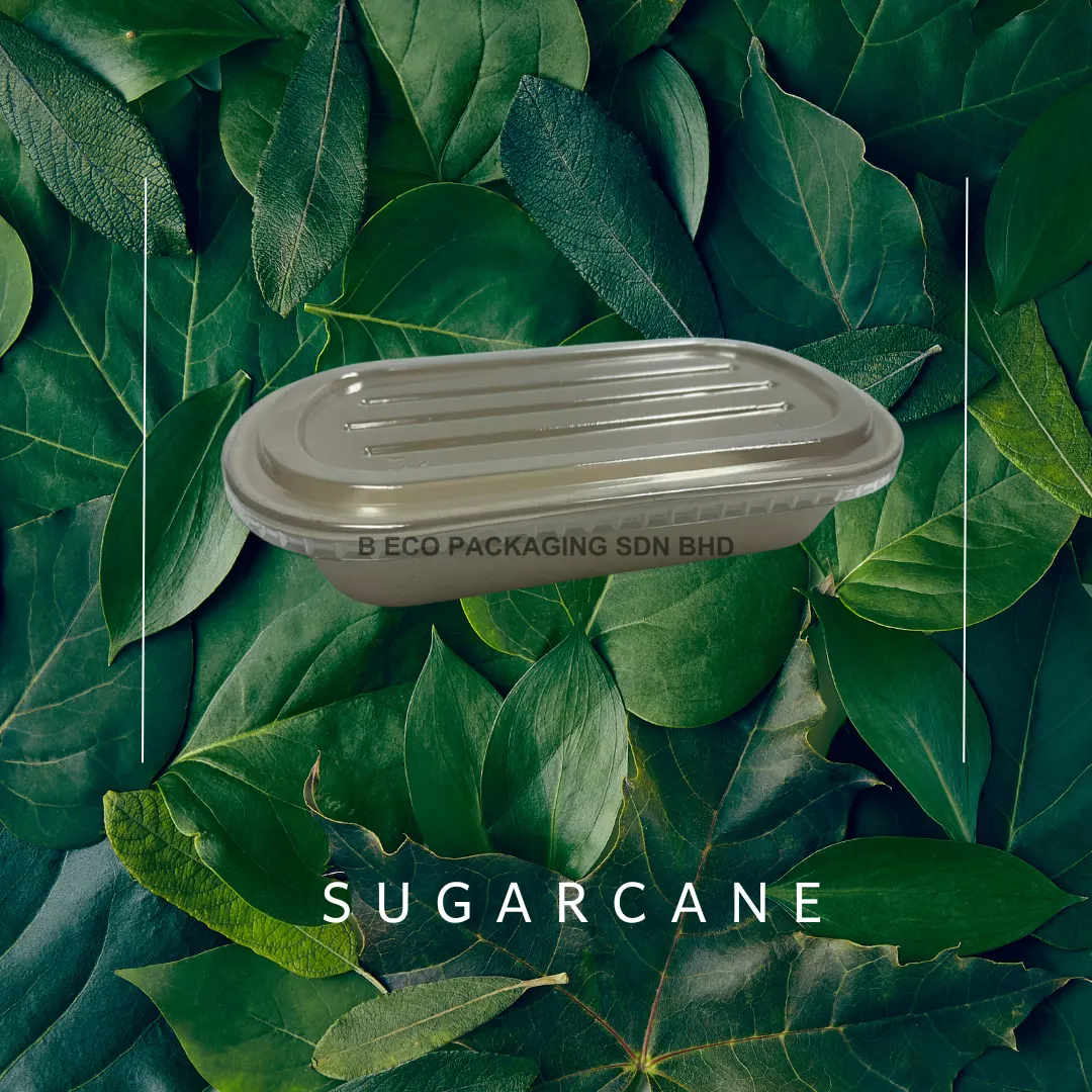 Biodegradable Sugarcane Single Oval Container with PET lid - 850ml & 1000ml