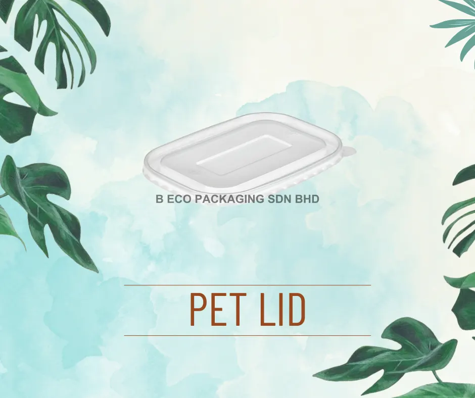 Eco-Friendly Rectangular Bowl with PET Lid