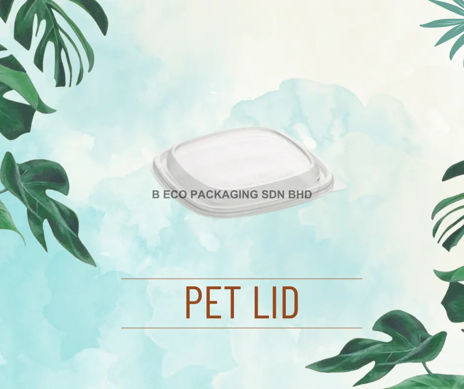 Eco-Friendly Square Bowl with PET Lid