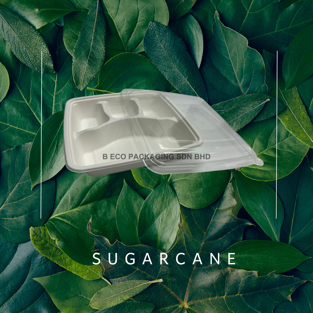 Bio Sugarcane 9" 4 Compartment Lunch Tray V Pet Cover