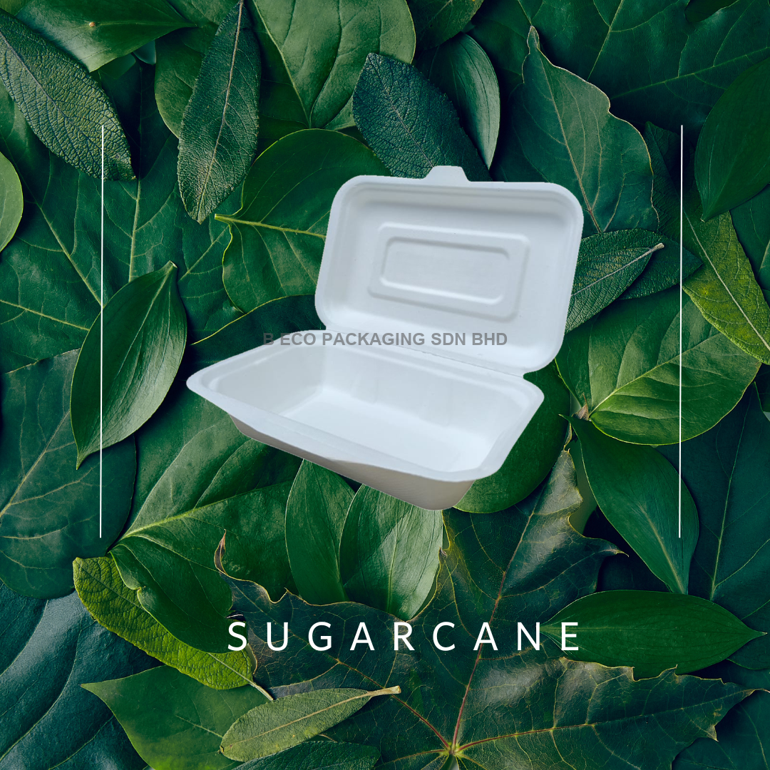 Biodegradable Sugarcane Lunch Box 450ml