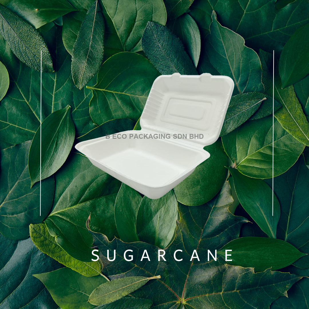 Biodegradable 9x6 Inch Sugarcane Lunch Box 960ml