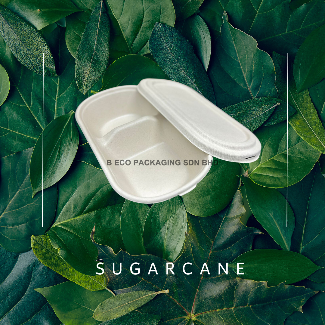 1000ml Biodegradable Sugarcane 2-Compartment Oval Lunch Box