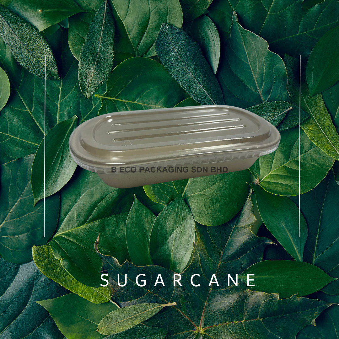 Biodegradable Sugarcane Single Oval Container with PET lid - 850ml & 1000ml