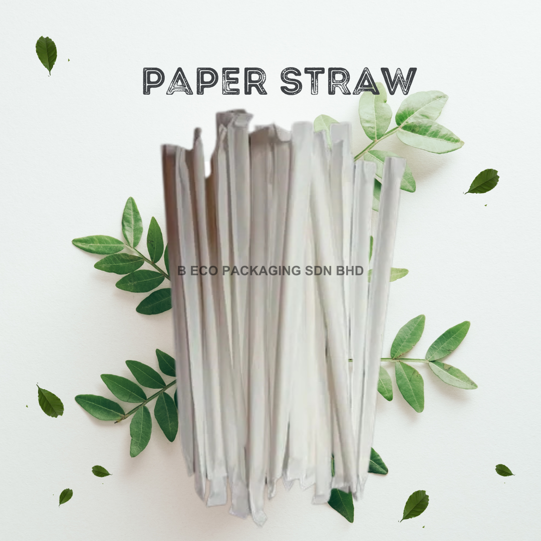 Disposable Eco-Friendly Paper Straws (Single Pack) 6mm x 197mm