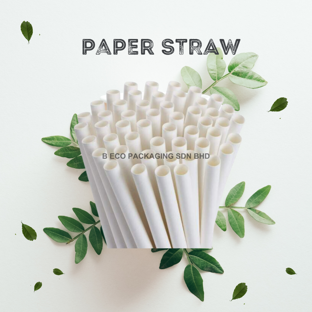 White Eco-Friendly Paper Drinking Straw 6mm x 197mm