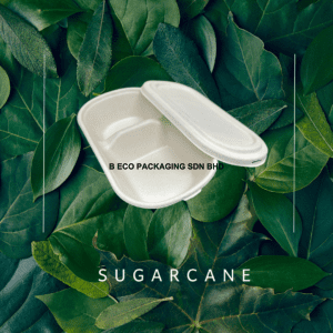 1000ml Biodegradable Sugarcane 2-Compartment Oval Lunch Box