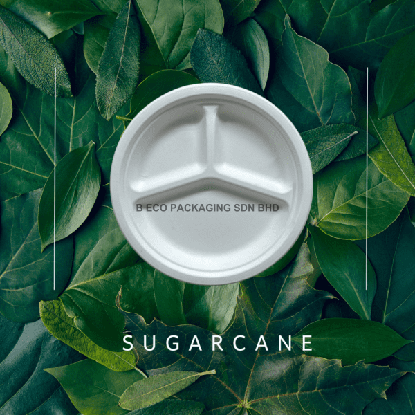 10-inch Biodegradable Sugarcane 3 Compartment Disposable Party Plate