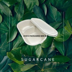 Biodegradable Sugarcane 2-Compartment Oval Lunch Box 1000ml