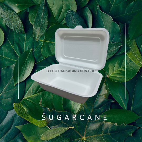 Biodegradable 7x5 Inch Sugarcane Lunch Box 600ml