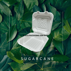 Biodegradable Sugarcane 8x8 Inch Lunch Box 1000ml