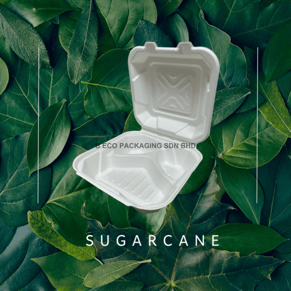 Biodegradable Sugarcane 8x8 Inch Lunch Box 1000ml