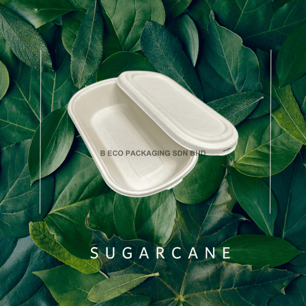 Biodegradable Sugarcane Oval Container