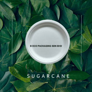 6-inch Biodegradable Sugarcane Disposable Party Plate