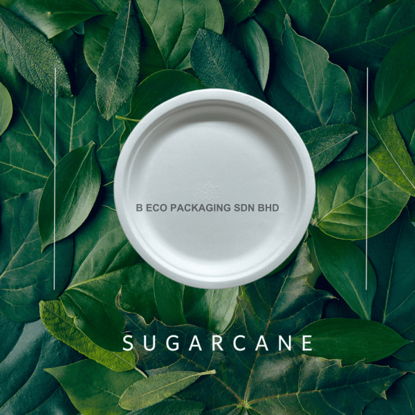 6-inch Biodegradable Sugarcane Disposable Party Plate