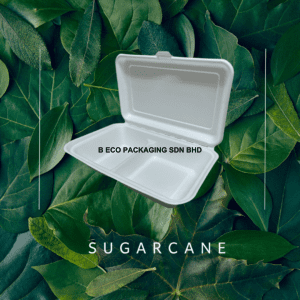 Eco-Friendly Sugarcane Lunch Box 9x6 Inch with 2 Compartments