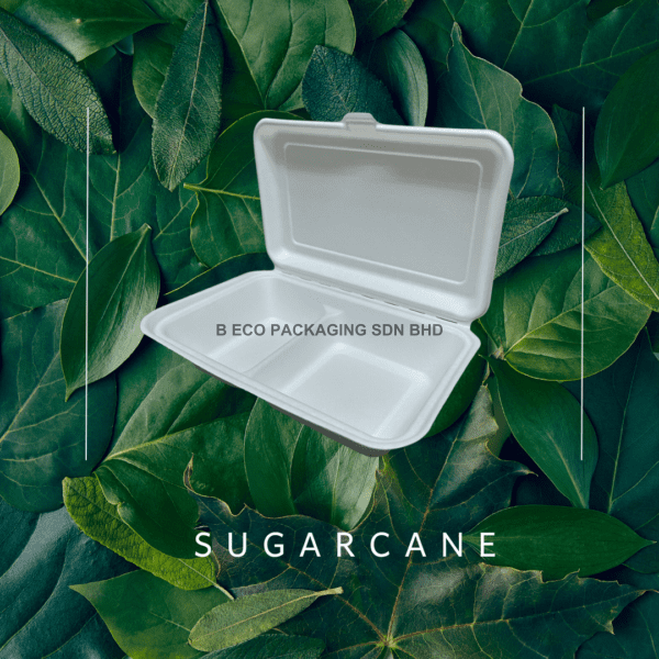 Eco-Friendly Sugarcane Lunch Box 9x6 Inch with 2 Compartments