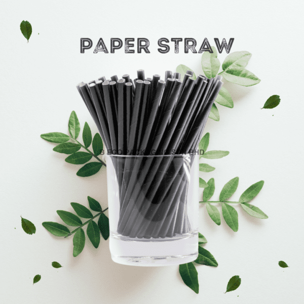 Disposable Eco-Friendly Paper Straws Black 6mm x 197mm