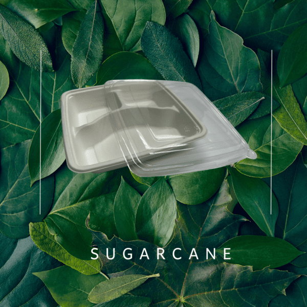 Bagasse 3C Bio Sugarcane 9" 3 Compartment Lunch Tray V Pet Cover
