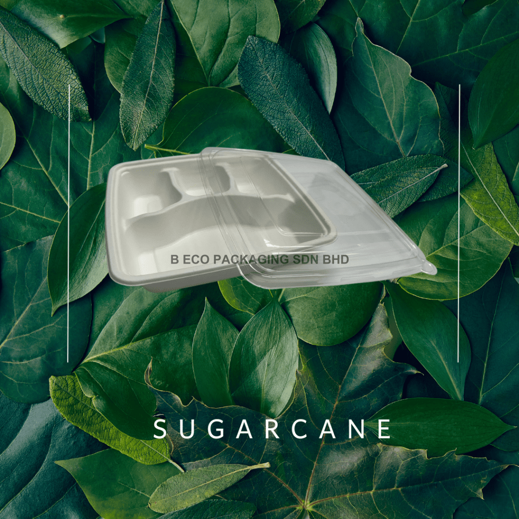 Bio Sugarcane 9" 4 Compartment Lunch Tray V Pet Cover