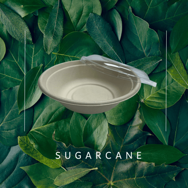 Bagasse 900ml Salad Bowl Bio Salad Bowl PET Lid - For 900ml