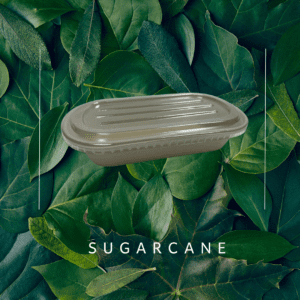 Biodegradable Sugarcane Single Oval Container with PET lid - 850ml & 1000ml